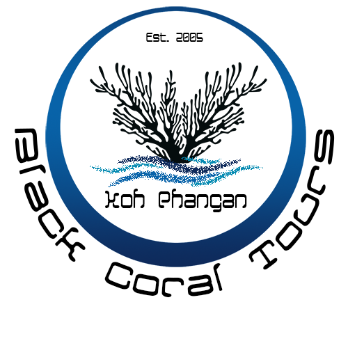 Black Coral Tours Koh Phangan Fishing Tour